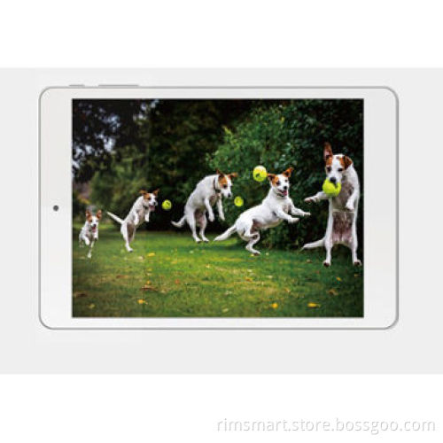 Vido M6 Intel Z2580 Dual-core Tablet PC, 7.9-inch Android 4.2, 1GB RAM, 16GB, GPS, Bluetooth